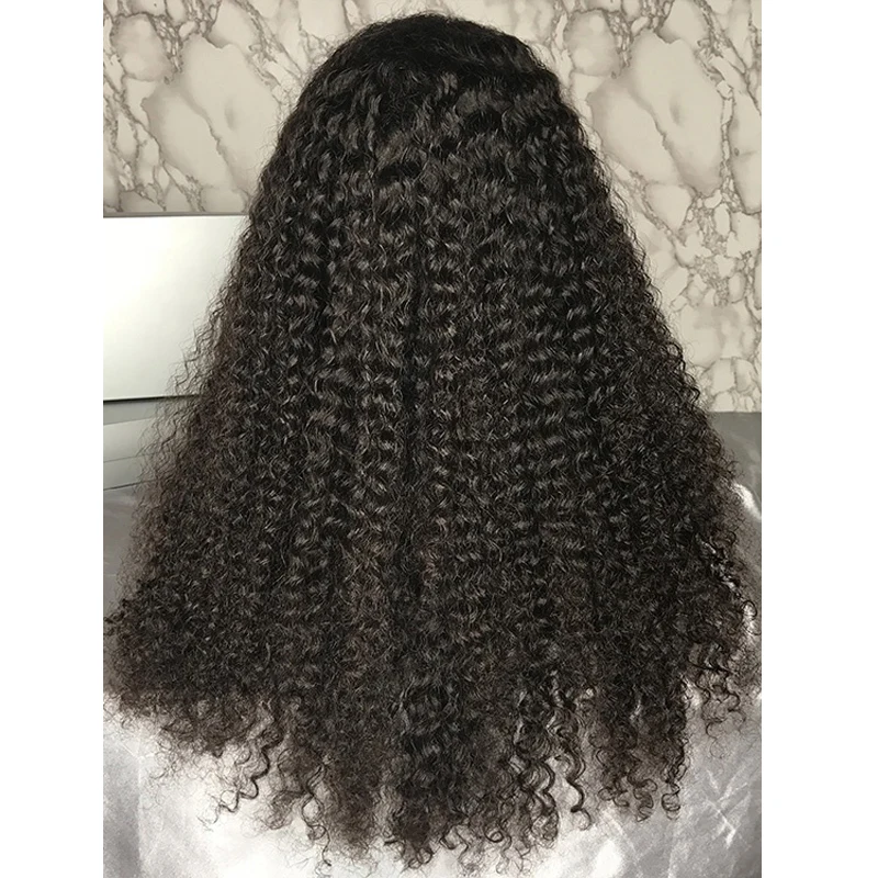 Покер лицо 8-30 дюймов длинные glueless 13x6 вьющиеся кружевные передние человеческие волосы парики предварительно сорванные бразильские 150% плотность глубокая волна Remy парик