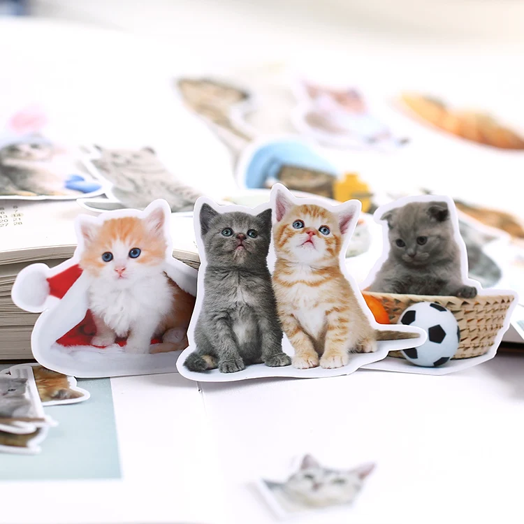 21 шт. корейский милый кот наклейки мобильный телефон сделай сам фотоальбом водонепроницаемый прозрачный прекрасный декоративный материал вокруг Мяу