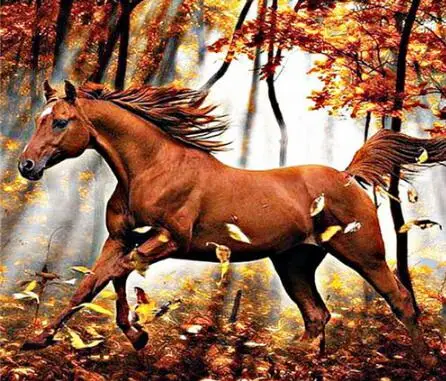 Фото Diamond Embroidery black horse 5D Diy Painting cross stitch Animals Full round Mosaic picture Home Decoration Дом и сад Diamond Embroidery black horse 5D Diy Painting cross stitch Animals Full round Mosaic picture Home Decoration Дом и сад