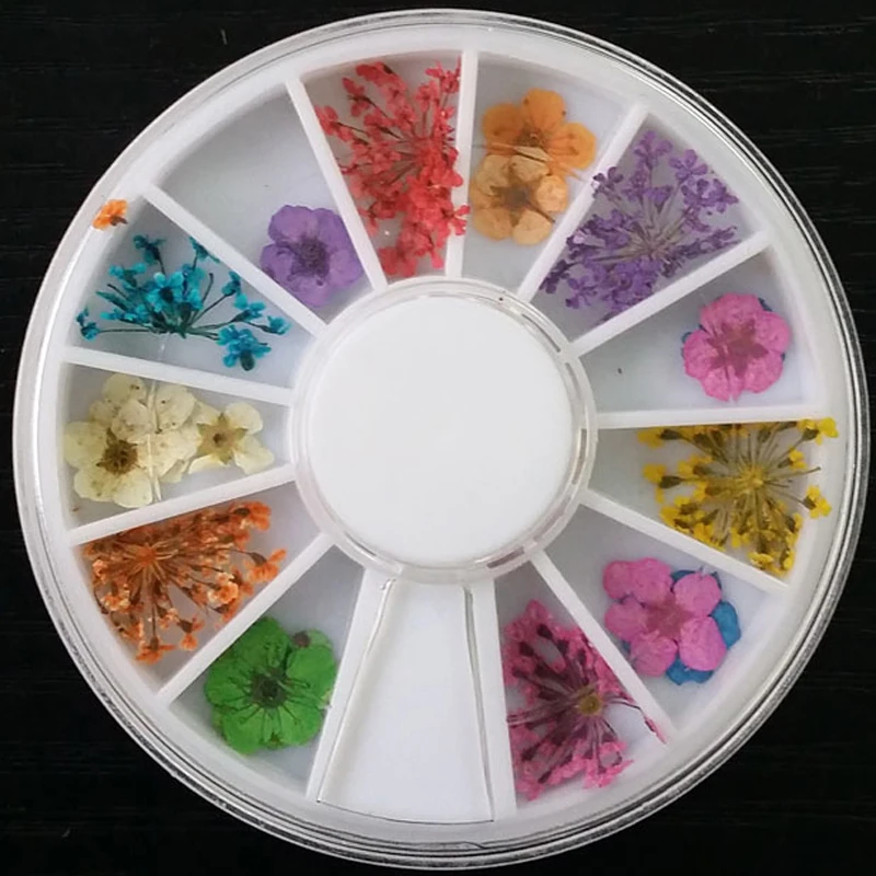 Одна коробка 12 цветов украшение для ногтей супер яркие различные виды сушеных