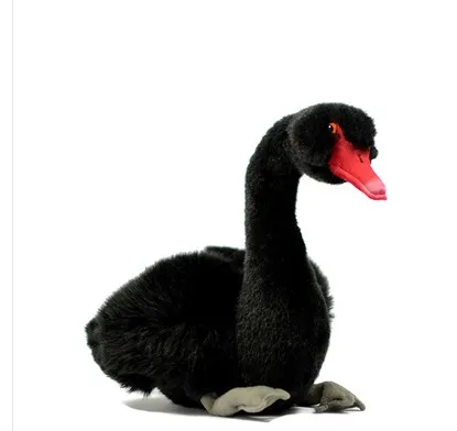 

2019 new arrival Lovely black swan doll simulation black white swan simulation animal plush toys gifts