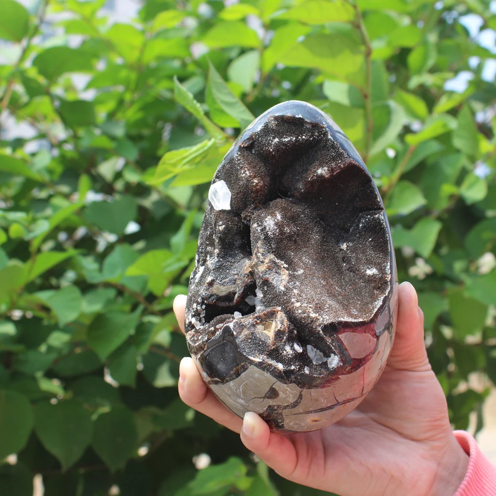 1510g Natural curvature of the furnishing articles Turtle grain stone egg Ball Septarian nodule Fossil Crystal Healing quartz | Дом и сад
