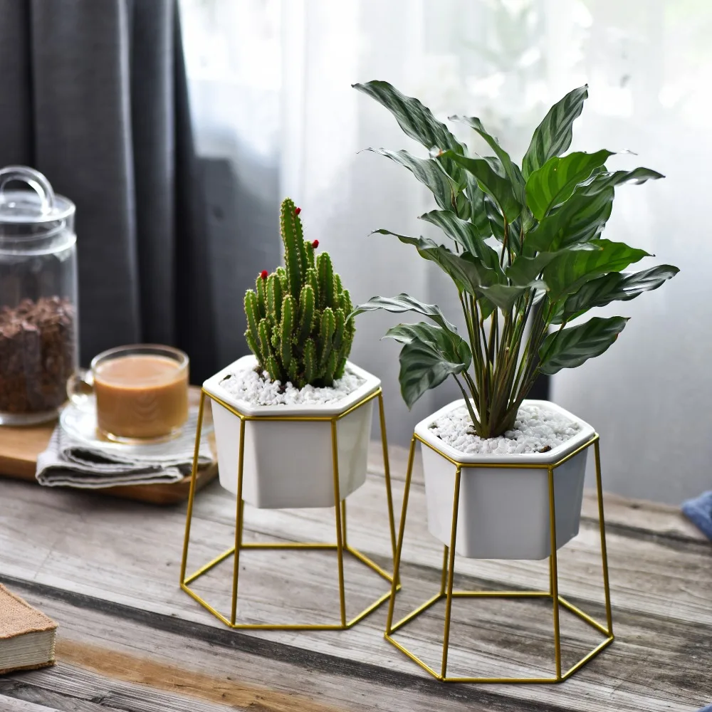 Geometric Cactus Hexagon Succulent Flower Pots Ceramic Flowerpot Iron Plant Stand Holder Garden Balcony Desktop Decorative Vasi
