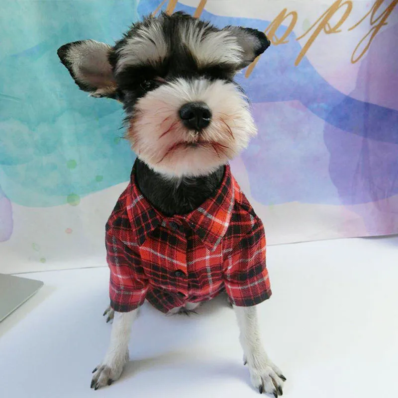 Одежда для маленьких собак летние пальто чихуахуа одежда домашних животных