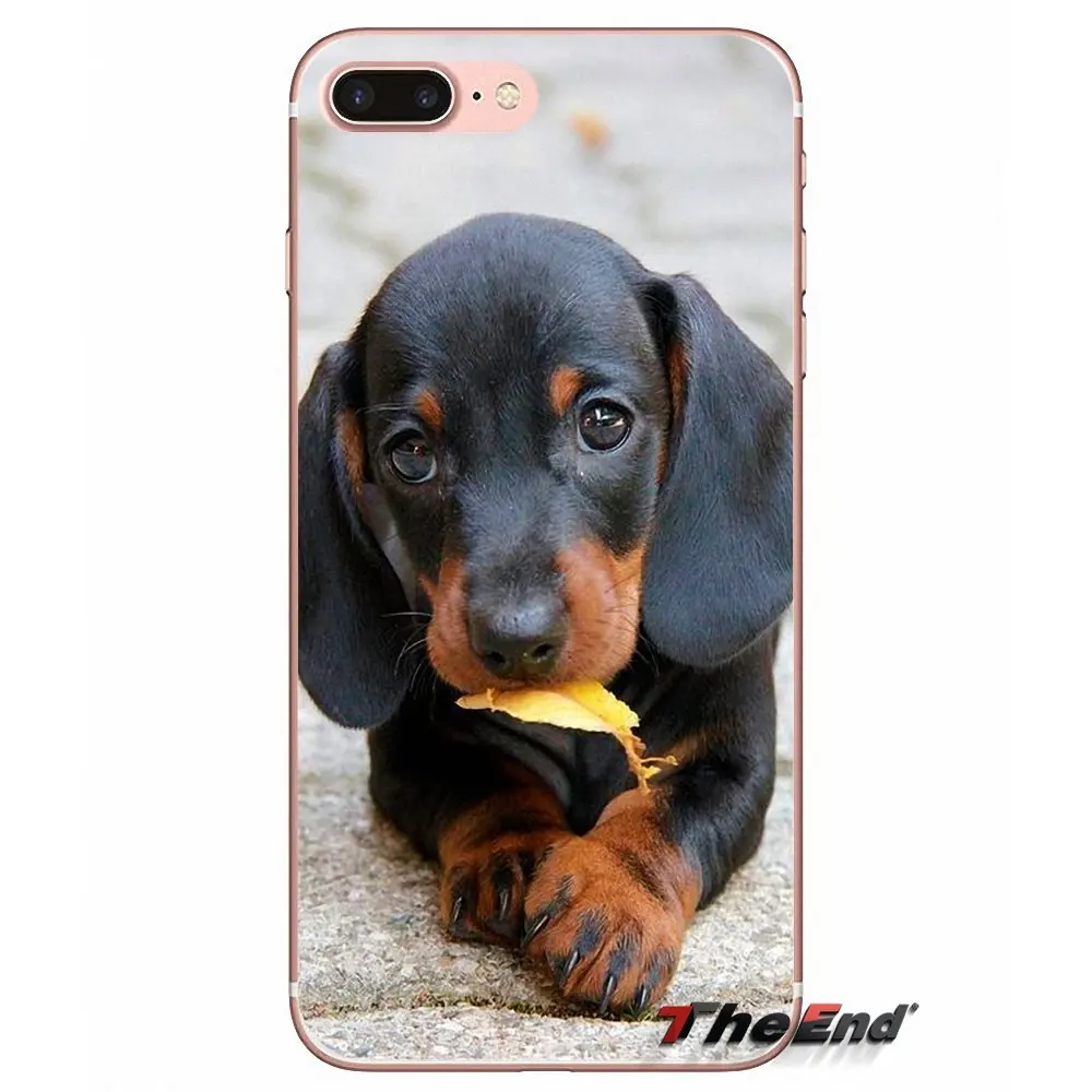Силиконовый чехол для iPhone X 4 4S 5 5S 5C SE 6 6S 7 8 Plus Samsung Galaxy J1 J3 J5 J7 A3 A5 2016 2017 Dachshund Teckel Dackel