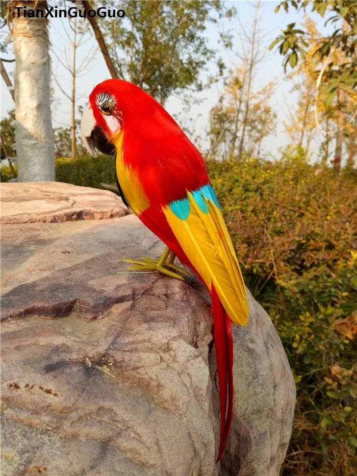 

simulation parrot large 30cm bird hard model coloured feathers parrot handicraft prop,garden decoration gift s0293