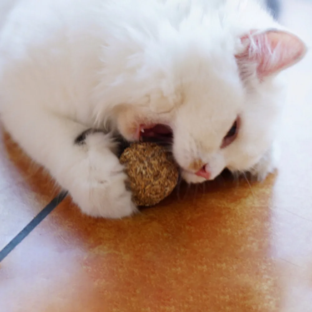 

Мяч из кошачьей мяты, для домашних животных