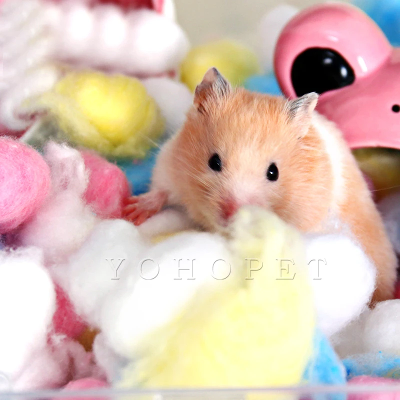 Игрушка для морская свинка хомяк дом cavia кровать syrian хомяк гигроскопический ватный шарик белка Тоторо клетки для хомяков теплое гнездо