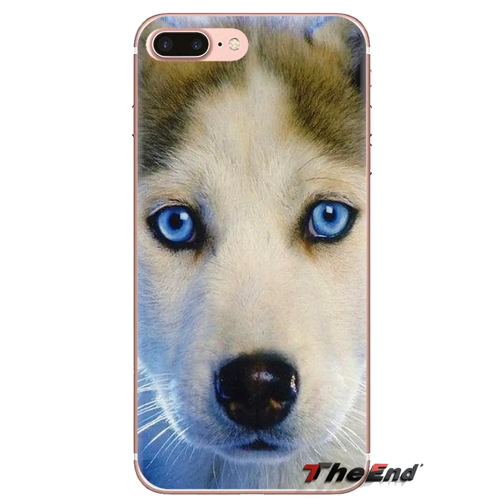 Soft Transparent Cases For Huawei Mate Honor 4C 5C 5X 6X 7 7A 7C 8 9 10 8C 8X 20 Lite Pro Siberian Husky Dog puppies Art Pattern |