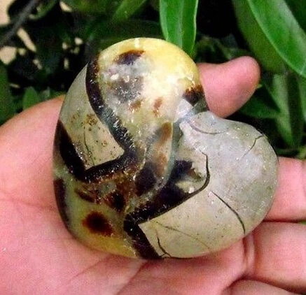 Натуральный Полированный септариевый дракон исцеление сердца|healing|healing stones |