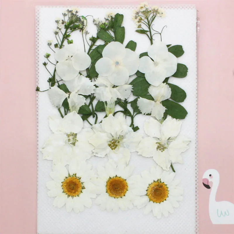 Портативная Коллекция DIY художественные Цветочные Декорации хороший подарок органические 1 мешок прессованные цветы Натуральные сушеные цветы смешанные цвета