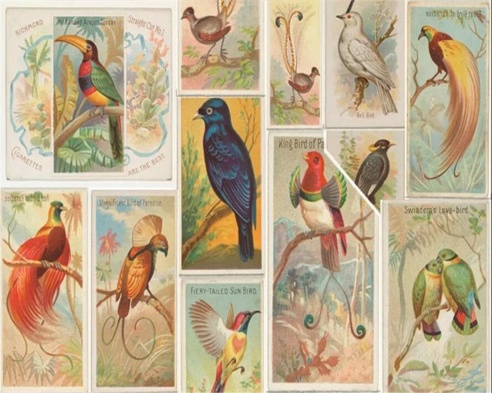 Обои на заказ 3d настенная большая европейская ручная роспись обои птица