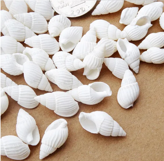 

Free shipping 200pcs/lot 100% natural white color sea shell wedding/festival/party decoration