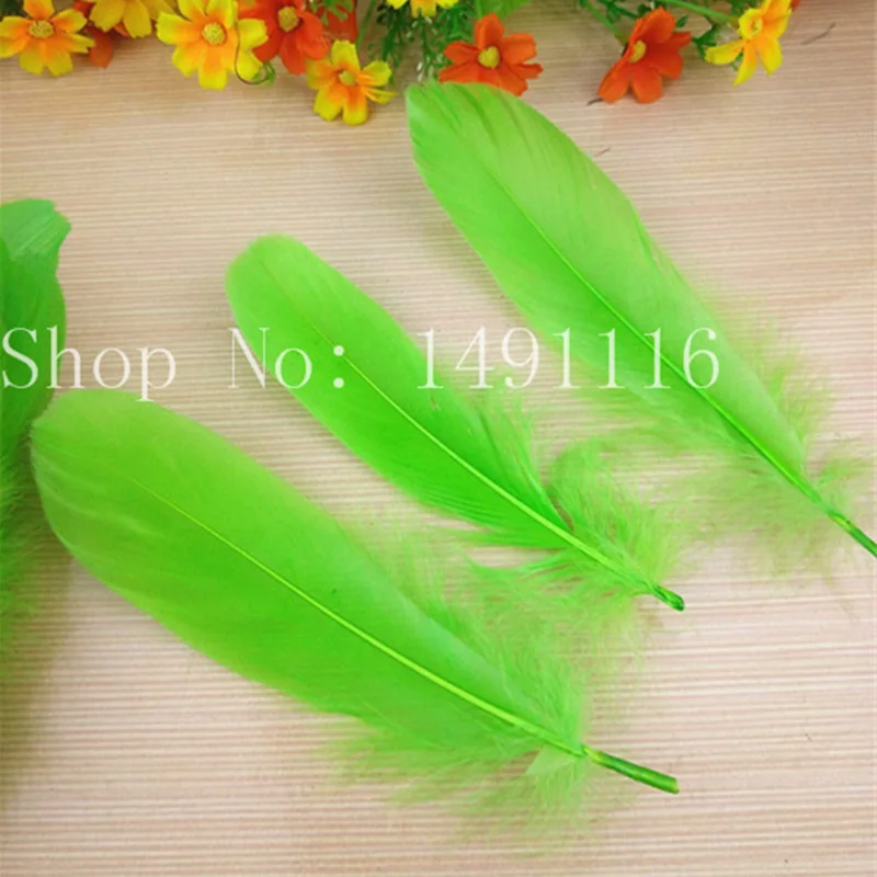 apple green 20 шт высококачественных гусиных перьев, 5-" /13-20 см DIY аксессуары для ювелирных изделий - Цвет: apple green