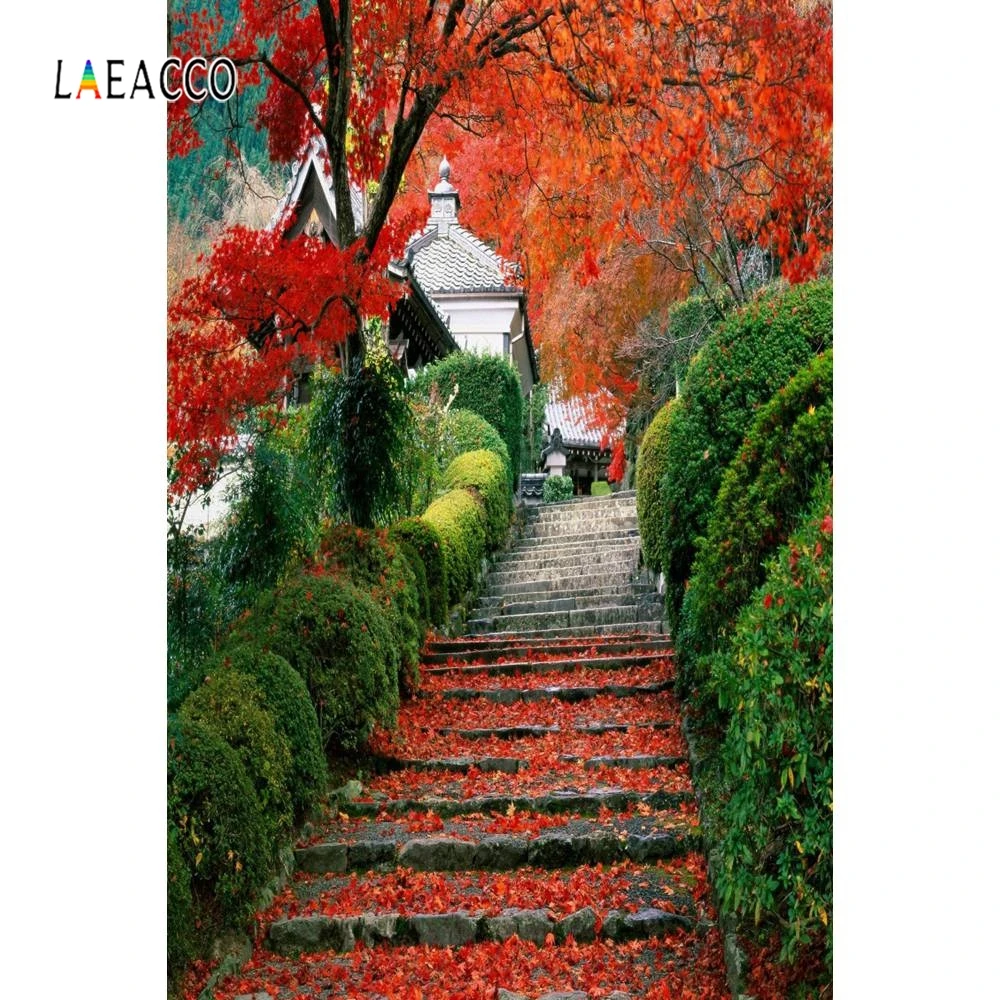 Laeacco лес жонглирование горные лестницы решетка Весна фотографии фоны