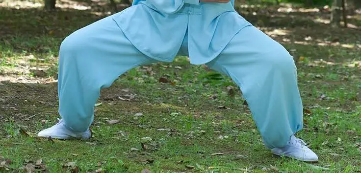 Спортивные брюки taijiquan летние и весенние штаны для танцев боевых искусств