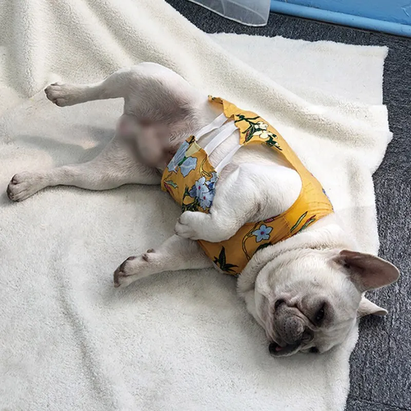 Новая мода собака одежда мягкая собаки жилет тонкий полая Футболка Pet Костюмы летом прохладно Толстовка пальто для домашних животных