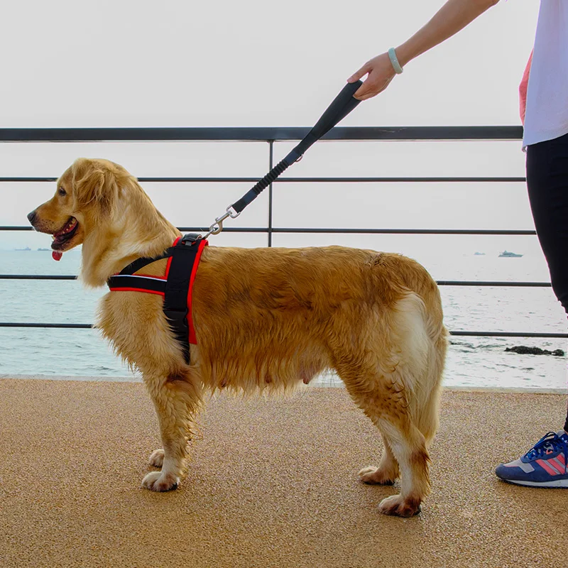 Водолазный буфер, ошейники для старших собак и шлейка, большие средние и большие животные, порода, автомобиль, переноска для домашних животных, кошек, жгут, жилет со свинцом