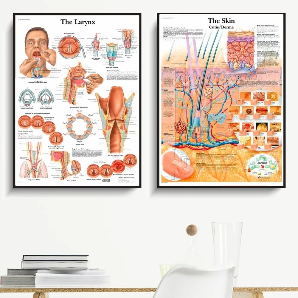 

Human Organs Anatomy Chart Posters And Prints Canvas Printed Painting Art Wall Pictures Home Decor For Living Room Decoration