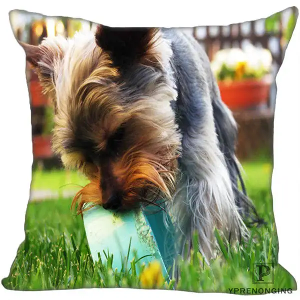 Square Pillowcases Декоративная Наволочка на заказ, йоркширский терьер, квадратная Наволочка на молнии, наволочки 35X35,40x40,45x45 см(одна сторона) 180516-14 - Цвет: Square Pillowcases