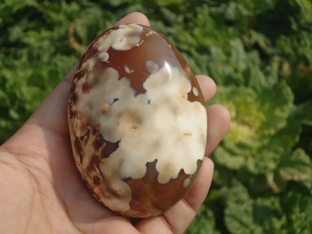 Лучше всего! 195 г натуральный агат отверстие Пирамида кластер корнукопия из