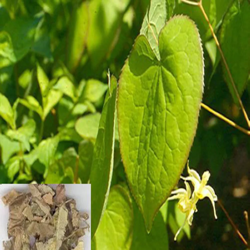 100-1000 г натуральный сексуальный стимулятор Epimedium Brevicornum экстракт порошок 20:1, эпимедиум полисахарид, Горянка порошок, антивозрастной