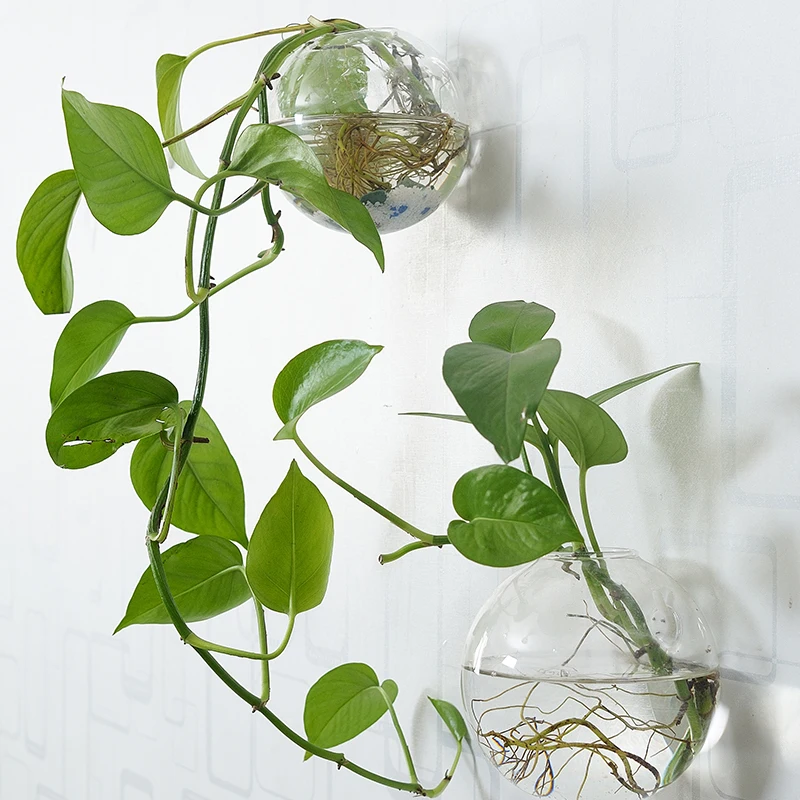 Стеклянные цветочные горшки прозрачные для гостиной простые современные