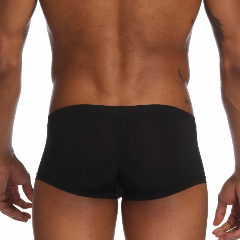 Pinky Senson Summer Ice Silk Men Underwear Seamless Transparent Boxer Short Ultra Thin Sheer Breathable Pantie Underpant