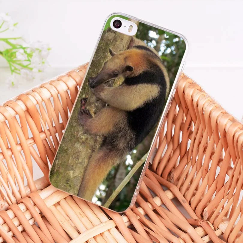 MaiYaCa Anteater милый мягкий чехол для телефона из ТПУ iPhone 8 7 6 6S Plus X 5 5S SE 11pro max|case cover|phone