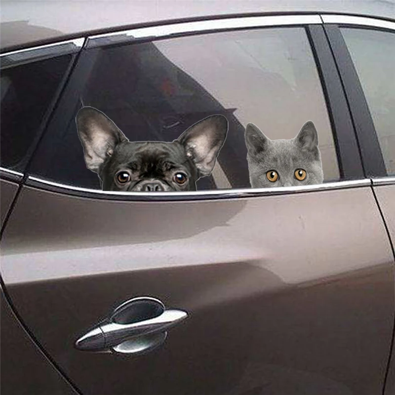 3d Vivid Cats Dogs Animals Wall Stickers Bathroom Toilet Car Window Kids Rooms Home Decoration Pvc Decals Diy Mural Art | Дом и сад