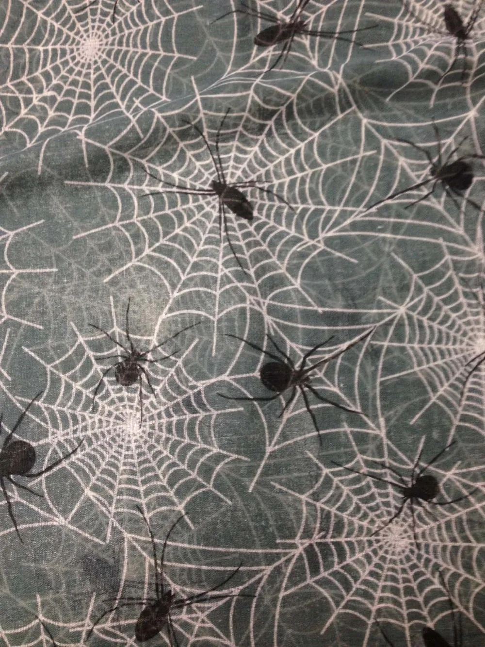 2016 Модный женский шарф с принтом паука шали животным Вуаль Хиджаб оптовая