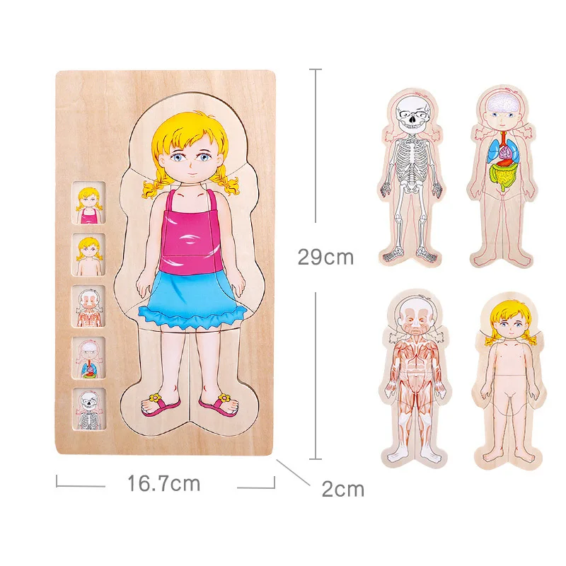 Wooden Tetris Boy Puzzles Frog Toy Baby Colorful Jigsaw Board Children Body Structure Intellectual Educational Toys For | Игрушки и