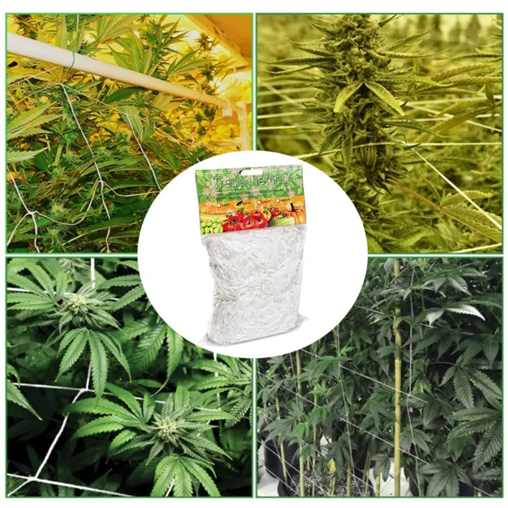 1pcs 1.67x5m Plant Climbing Net Mesh Polyester Net Flower Cucumber Plants Landing Net Frame Support Mesh Vine Trellis Netting