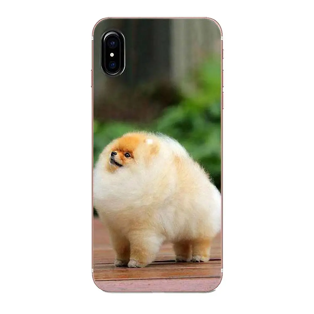 Милый чехол для телефона Pomeranian Dogs с красочным дизайном Apple iPhone 4 4S 5 5C 5S SE 6 6S 7 8 Plus X XS