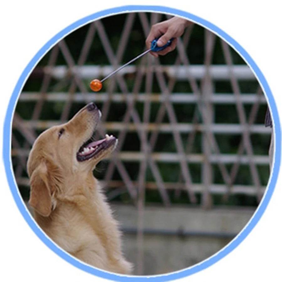 Новинка растягивающийся дизайн щенок кликер для дрессировки питомца собака