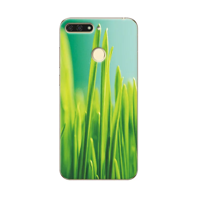 Exotic Natural Landscape Soft TPU Phone Case For Huawei Honor 7A Pro Cover Silicone 7 A Capa Fundas Shell |