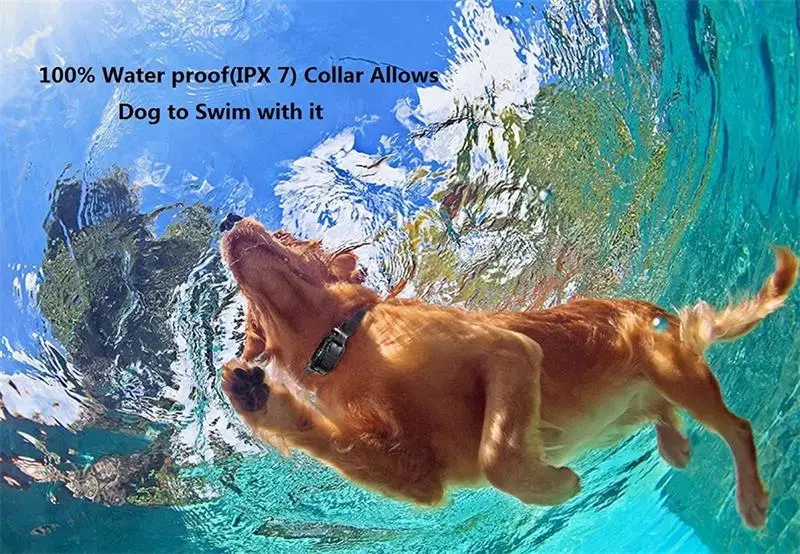 Ошейник для дрессировки собак 800 м электрический ошейник домашних животных с