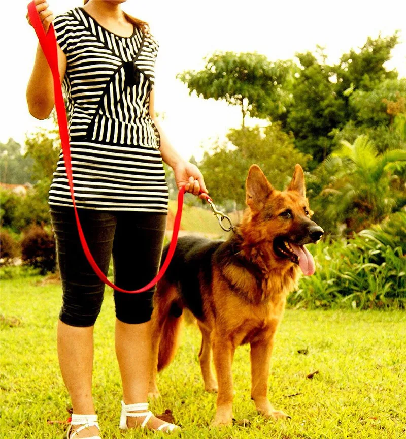 

E44 thick solid nylon pet dog collar and leashes set high quality New arrival