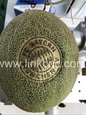 Новый продукт логотип DIY лазерная маркировочная машина CO2 деревянная