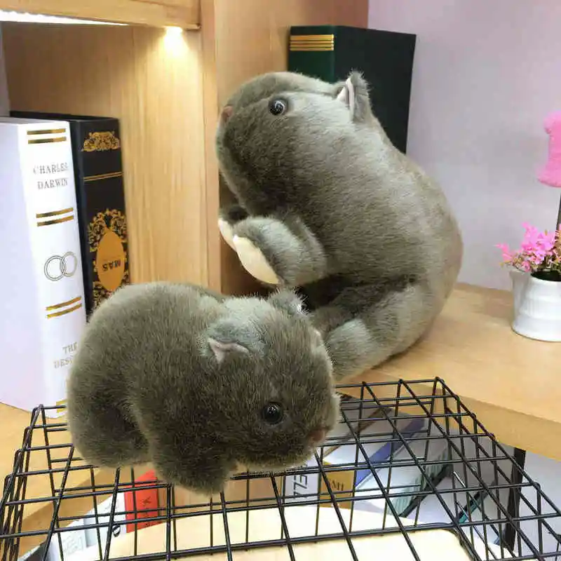 1 шт. 18 см Моделирование Плюшевые вомбат свинки Cavia Porcellus игрушка чучело дикие животные куклы игрушки для малышей, детей подарок Декор для дома, магазина