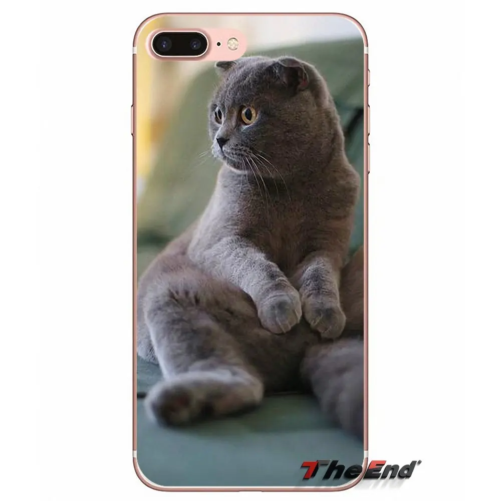 Для iPhone X 4 4S 5 5S 5C SE 6 6S 7 8 плюс samsung Galaxy J1 J3 J5 J7 A3 A5 шотландский Сложите cat Felis catus мягкий чехол - Цвет: images 8
