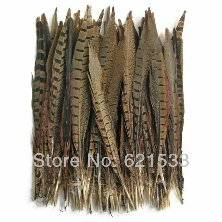 

50pcs/lot 12-14" 30-35cm natural undyed pheasant tail feathers Pheasant Bird Feathers For Crafting Projects, Floral Decoration