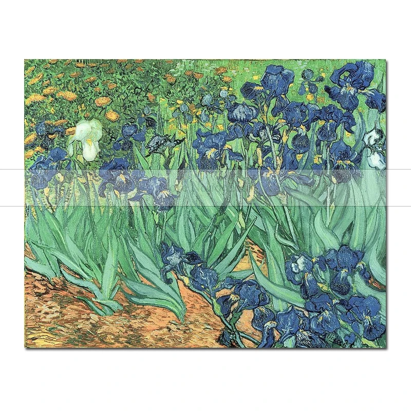 

Van Gogh Irises Painting Reproductions Flower Handmade Oil Painting Wall Pictures For Living Room Home Decoraction Art Unframed