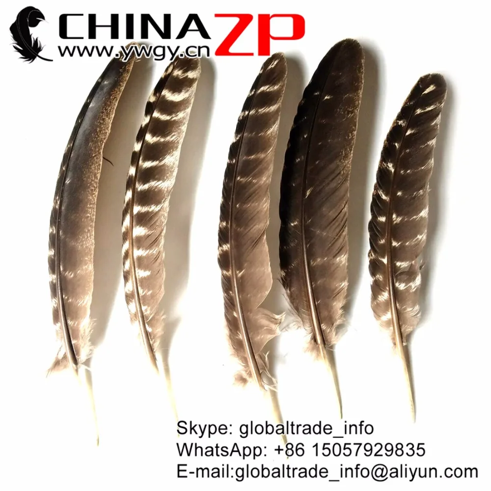 Китайские перышки с перьями 50 шт./лот размеры от 20 до 28 см|quill feather|wild turkeyfeather quill |