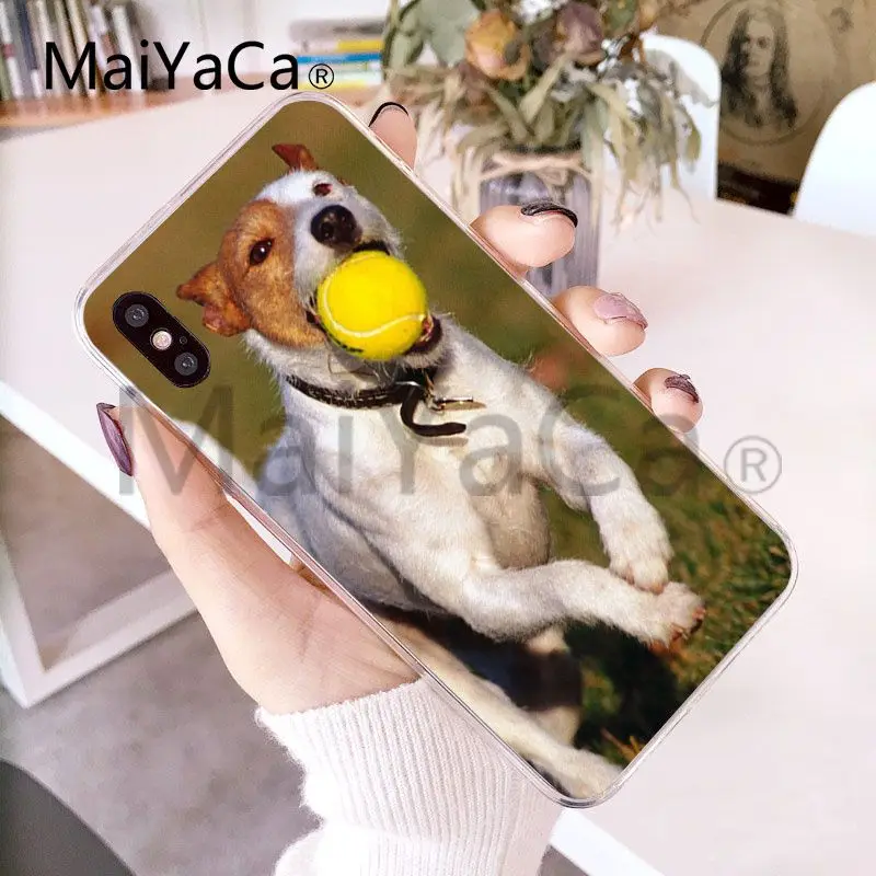 Мягкий ТПУ чехол MaiYaCa Jack Russell Terrier Dog для iphone X 8 8plus прозрачный и 7 7plus 6