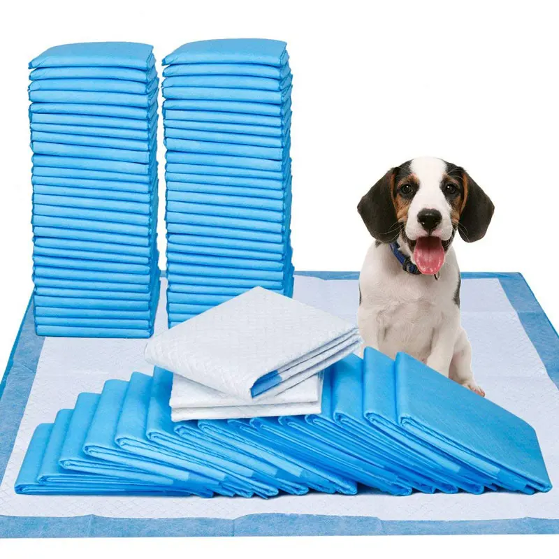 5PCS Pet Training Dog Pee Diaper Potty Cat Piddle Pads Super Absorbent Leak-Proof for Puppy Housebreaking