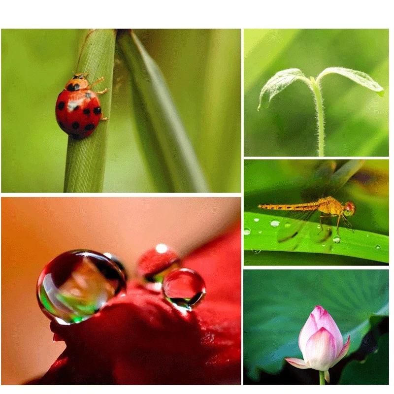 Оригинальный 3-в-1 широкоугольный Макро рыбий глаз комплект линз с зажимом для