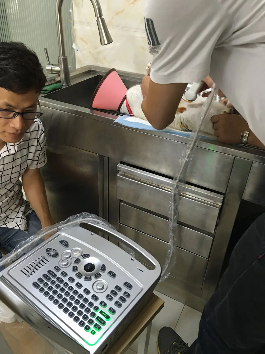 Супер низкая цена УЗИ ветеринарной здравоохранения аппарат для крупного