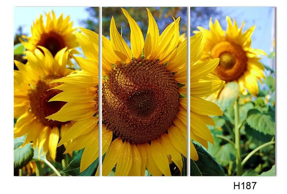 3 Панели Современная краска для дома декоративная художественная картина Краска