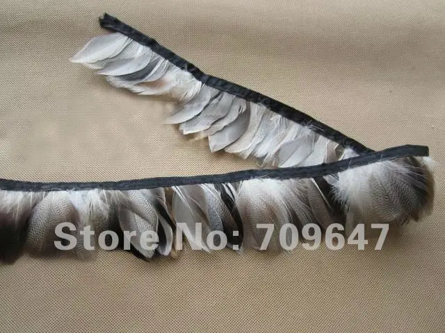 10 Yards/Lot  Height about 6cm  Mallard Duck Plumage Feather Trim Feather Fringe Nature Colour, feather decoration